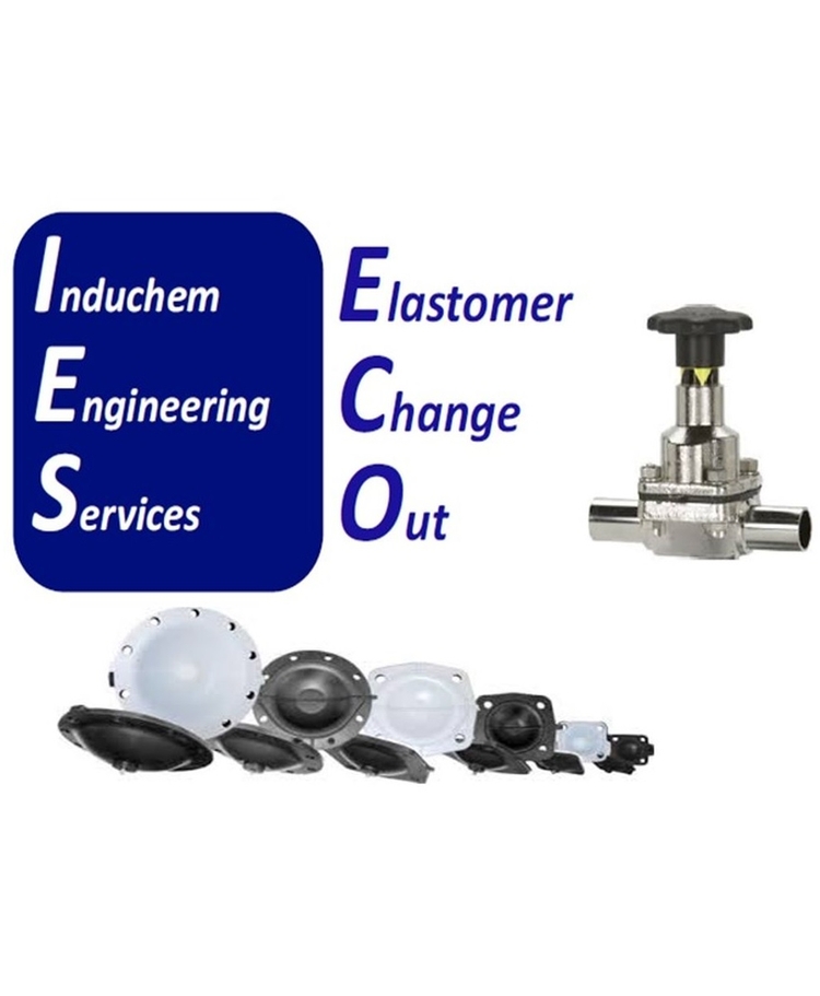 Elastomer Change Out