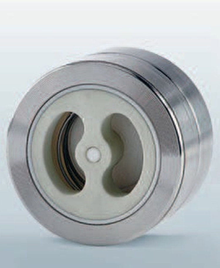 Lined Check Valves