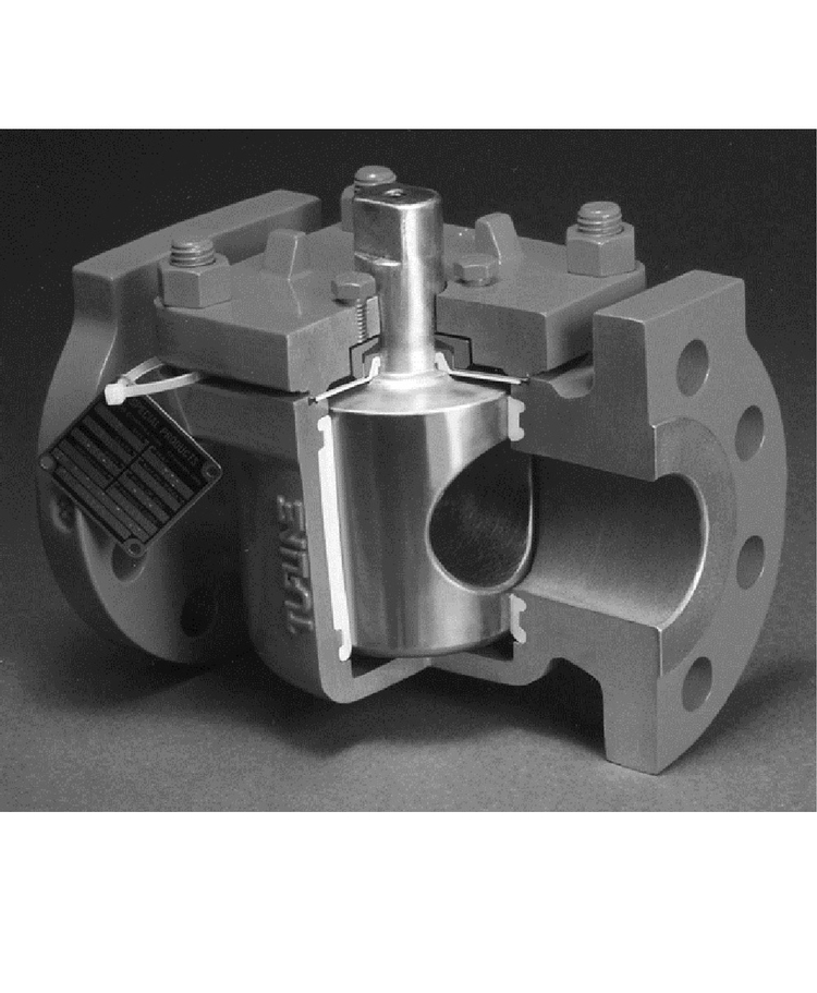 Sleeved Plug Valves